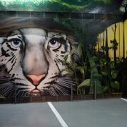 Parking Tigre Parking Tigre